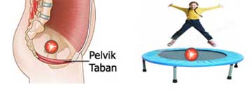 defekografi, pelvik taban